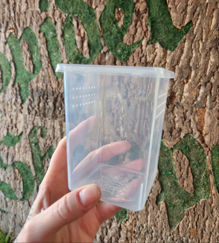 Keeper Box (10 packs) - Image 3